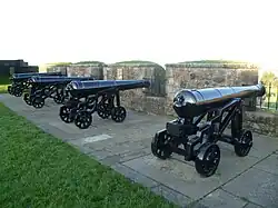 Cannon