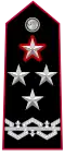 Rank Insignia of the Commander-General