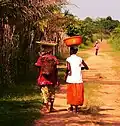 Carrying fruit in Basankusu.