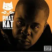 A stern-looking Phat Kat is bathed under an orange light against an orange background. On the left side of the cover is a mean cat drawing, branch leaves, the artist's name and the cursively written album title, all colored in white.