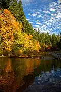 Autumn colors at Cascadia County Park on the South Santiam River.