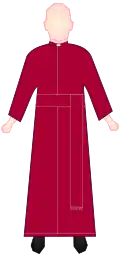 Canon (cassock colour may vary)