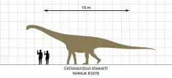 Light brown sauropod silhouette with a medium length neck, long tail and long limbs, shown beside two humans