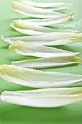 Belgian endive leaves