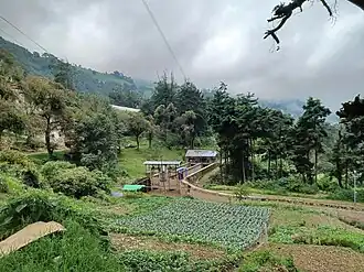 File:Chicovix 27.jpg