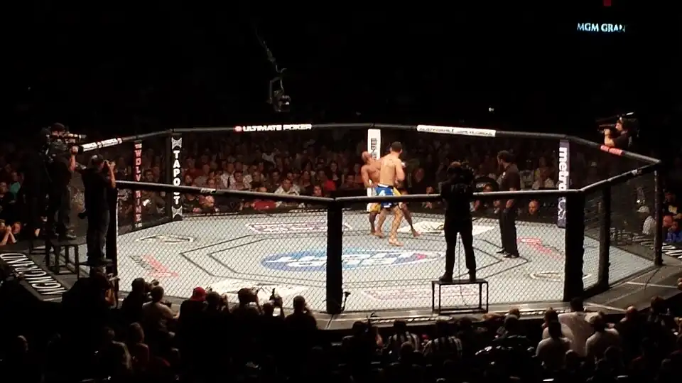 Image 21An octagon cage used by the UFC (from Mixed martial arts)