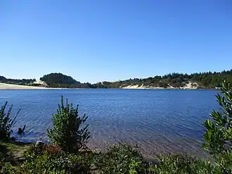 Cleawox Lake, Jessie M. Honeyman Memorial State Park, Oregon Dunes National Recreation Area.