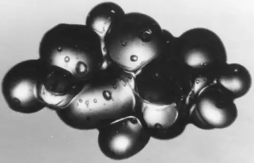 Cluster of ice grains in wet snow at a low liquid content—grain crystals range 0.5 to 1.0&nbsp;mm.