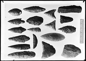 Collection of flint stones photographed by Hippolyte Müller, early 20th century.