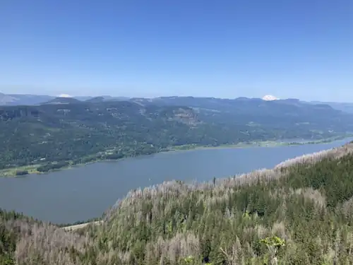 Columbia River Gorge with Mount Adams and Mount Saint Helens barely visible, seen from the Devils Rest Trail