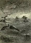 Argentine gauchos lassoing a condor, 1895.