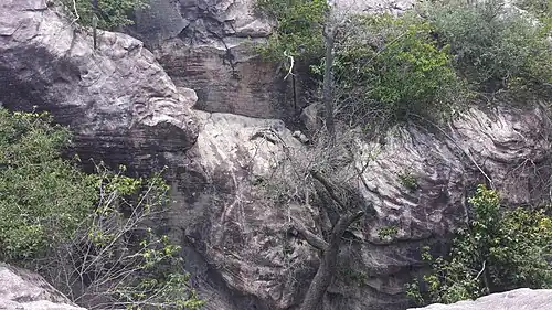 [clarification needed]