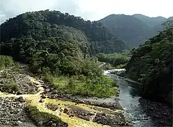 A stream polluted by volcanic sulfur in Braulio Carrillo National Park.