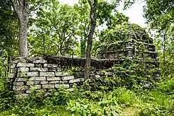 From the front, 2020