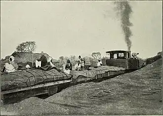 Train to Niger in 1908