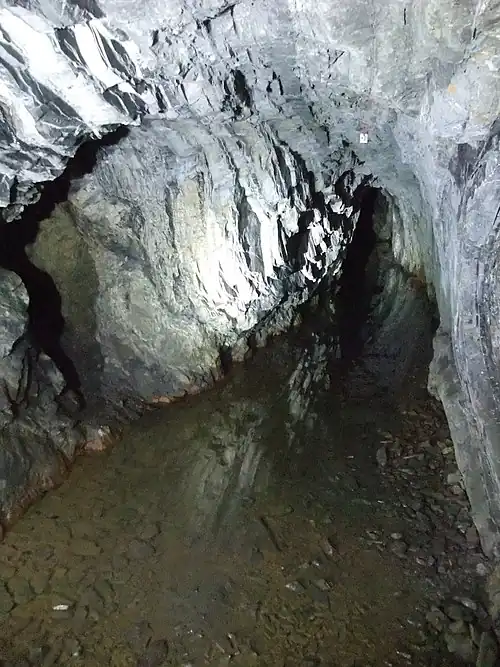 Pickering Gate, in Deep Ecton mine