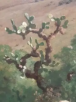 Detail of Nopal prickly pear cactus in the painting