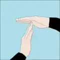 Time up: time to turn the dive and start heading back: Flat hand held roughly horizontal with tips of other flat hand's fingers touching the palm at right angles. Can also signify half of starting air remaining (in response to the "Pressure" signal).[40]