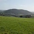 The wooded hill at Doward viewed from a footpath near Llangrove