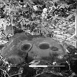 Image 49Grinding stones discovered from archaeology in Samoa (from Polynesia)