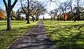 A path at Fallen Timbers Battlefield