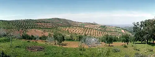 countryside near Feria