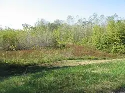 Countryside along the Wabash River
