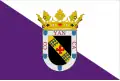 Flag of Valencia de Don Juan / Coyanza