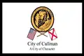 Flag of Cullman, Alabama