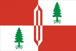 Flag of Fryanovo