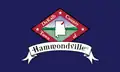 Flag of Hammondville, Alabama