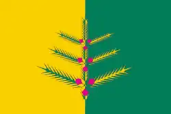 Flag of Nemsky District