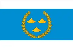 Flag of Nizhneudinsky District