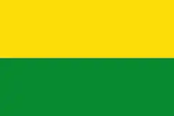 Flag of Vichada Department