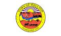 Flag of Wellton