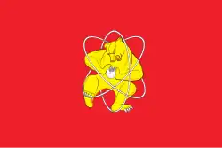 Flag of Zheleznogorsk, Russia (bear)