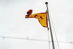 Flag (Nishaan) of the Chishti Nizami Habibia Soofie International Sufi Order