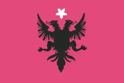 Flag of Kosovo used by Committee "National Defence of Kosovo" 1918.