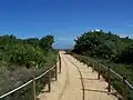 Path leading to the beach