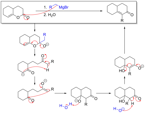 mechanism of the reaction