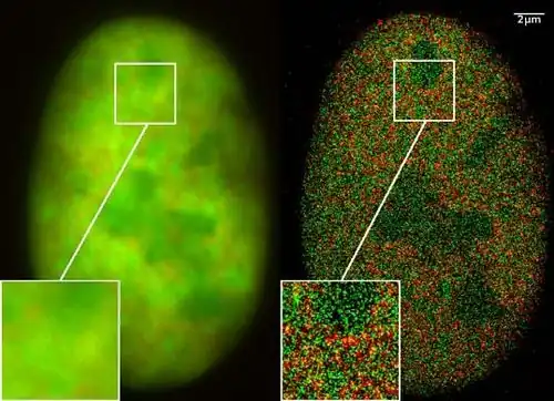 Super-resolution microscopy: Co-localization microscopy (2CLM) with GFP and RFP fusion proteins (nucleus of a bone cancer cell) 120.000 localized molecules in a wide-field area (470 μm2) measured with a Vertico-SMI/SPDMphymod microscope