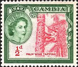 Depicting palm wine tapping