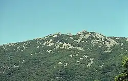 Genista corsica habitat in the northern Supramonte mountain range.
