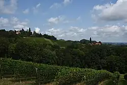 Glanz an der Weinstraße landscape