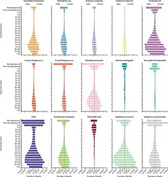 Global number of deaths, by pathogen, age, and sex groups, 2019[4]