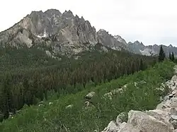 Grand Mogul and Redfish Lake Creek Valley