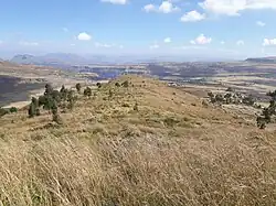 Grassland with thatching grass on Imba Abba Salama Mt. in Haddinnet, Ethiopia