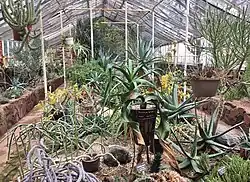 Inside the greenhouse.
