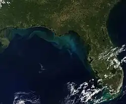 From space, oceans appear so dark as to be almost black. This is an image taken by the MODIS instruments of the Gulf of Mexico.
