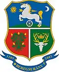 Coat of arms of Beregsurány